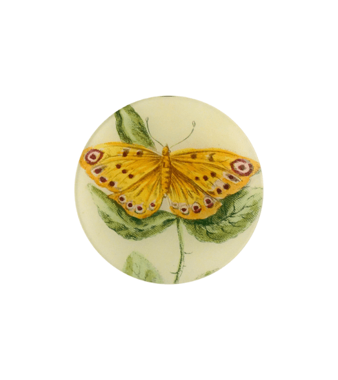 Yellow Butterfly Plate from John Derian